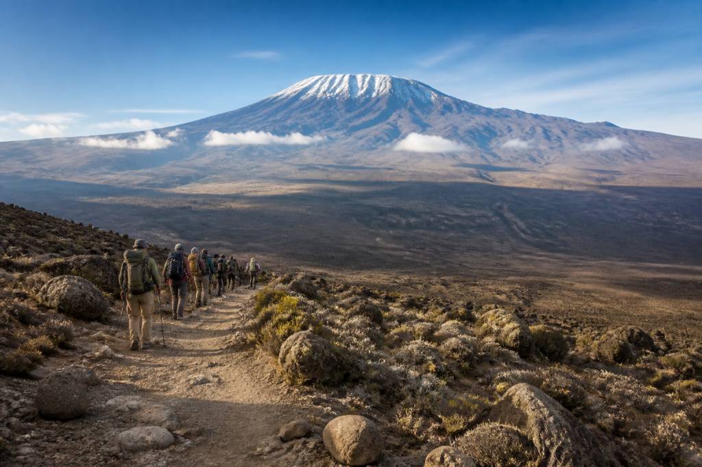 Randonnée au Kilimandjaro : quel itinéraire choisir selon son niveau